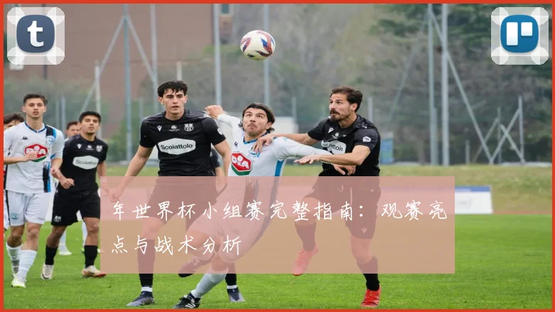 年世界杯小组赛完整指南:观赛亮点与战术分析