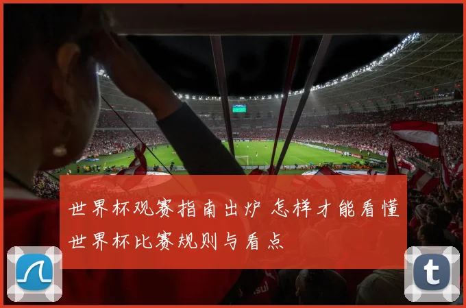 世界杯观赛指南出炉 怎样才能看懂世界杯比赛规则与看点