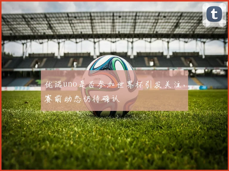 优诺uno是否参加世界杯引发关注,赛前动态仍待确认
