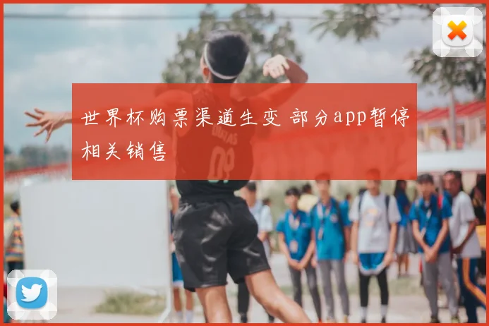 世界杯购票渠道生变 部分app暂停相关销售
