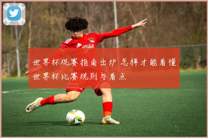 世界杯观赛指南出炉 怎样才能看懂世界杯比赛规则与看点