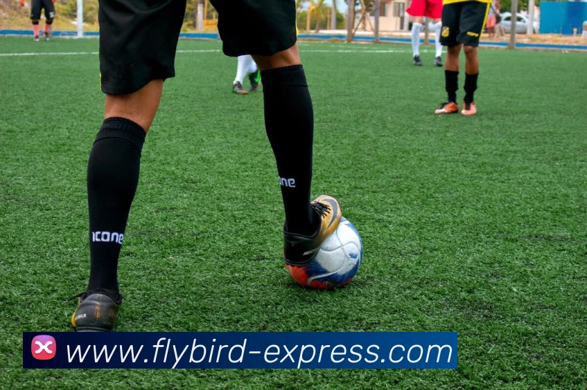 App Interface Preview